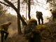 Firefighters work off of Highway 70 near the Camp Fire on Nov. 12, in Butte Valley, Calif.
