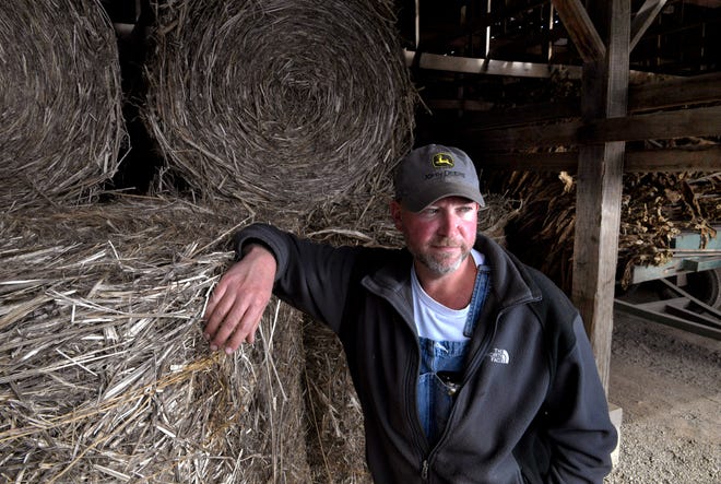 Carthage farmer Kyle Owen stands next to bales of hemp while his tobacco crop is placed a few rows down. Kyle Owen, a career tobacco farmer, planted hemp for the first time this year. He believes it will be his future.