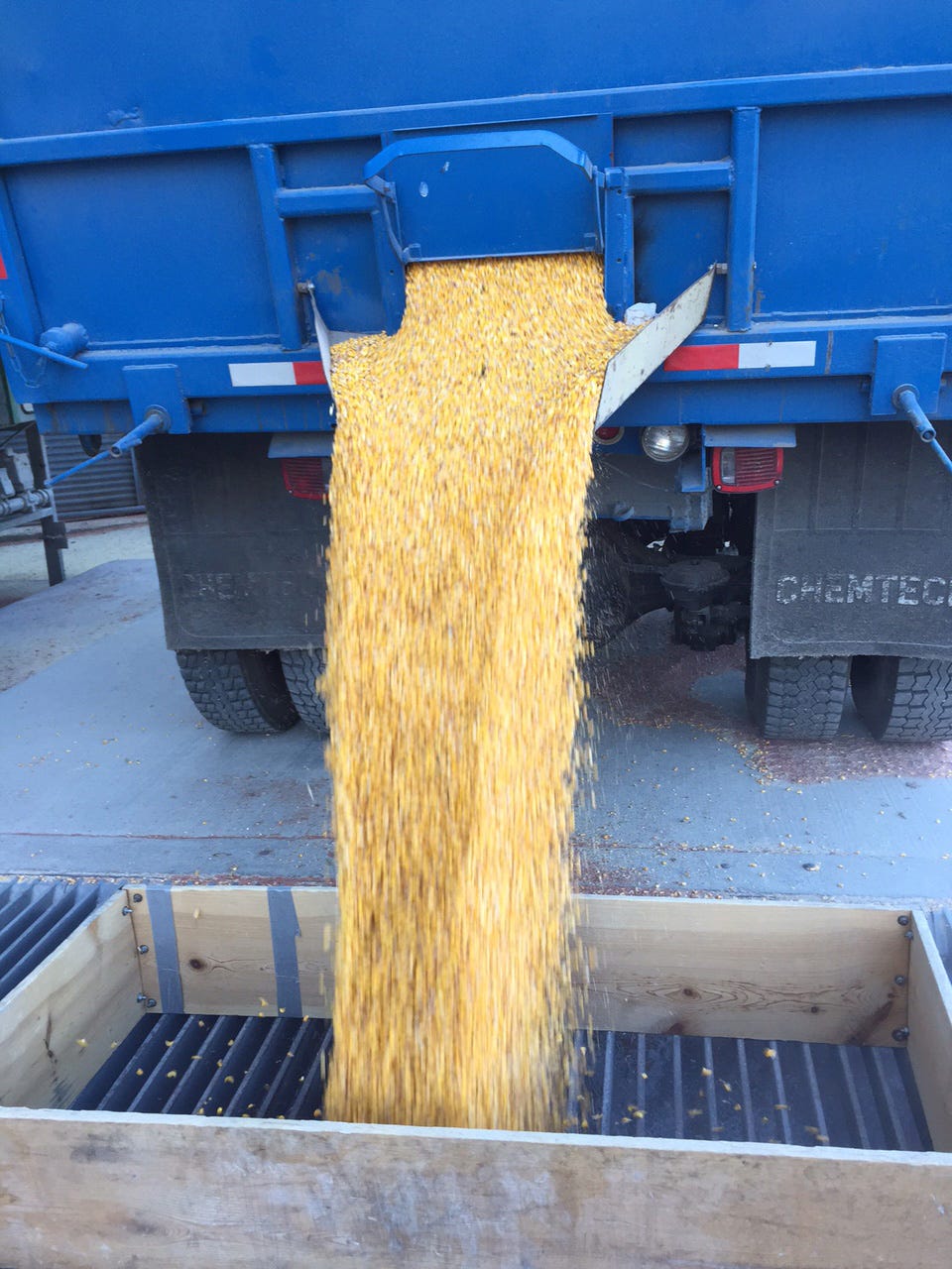 NC pig feed plastics claim went viral. But does public have to worry? NC pig feed plastics claim went viral. But does public have to worry?