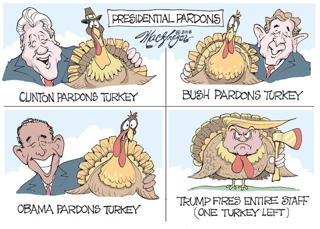 The turkeys