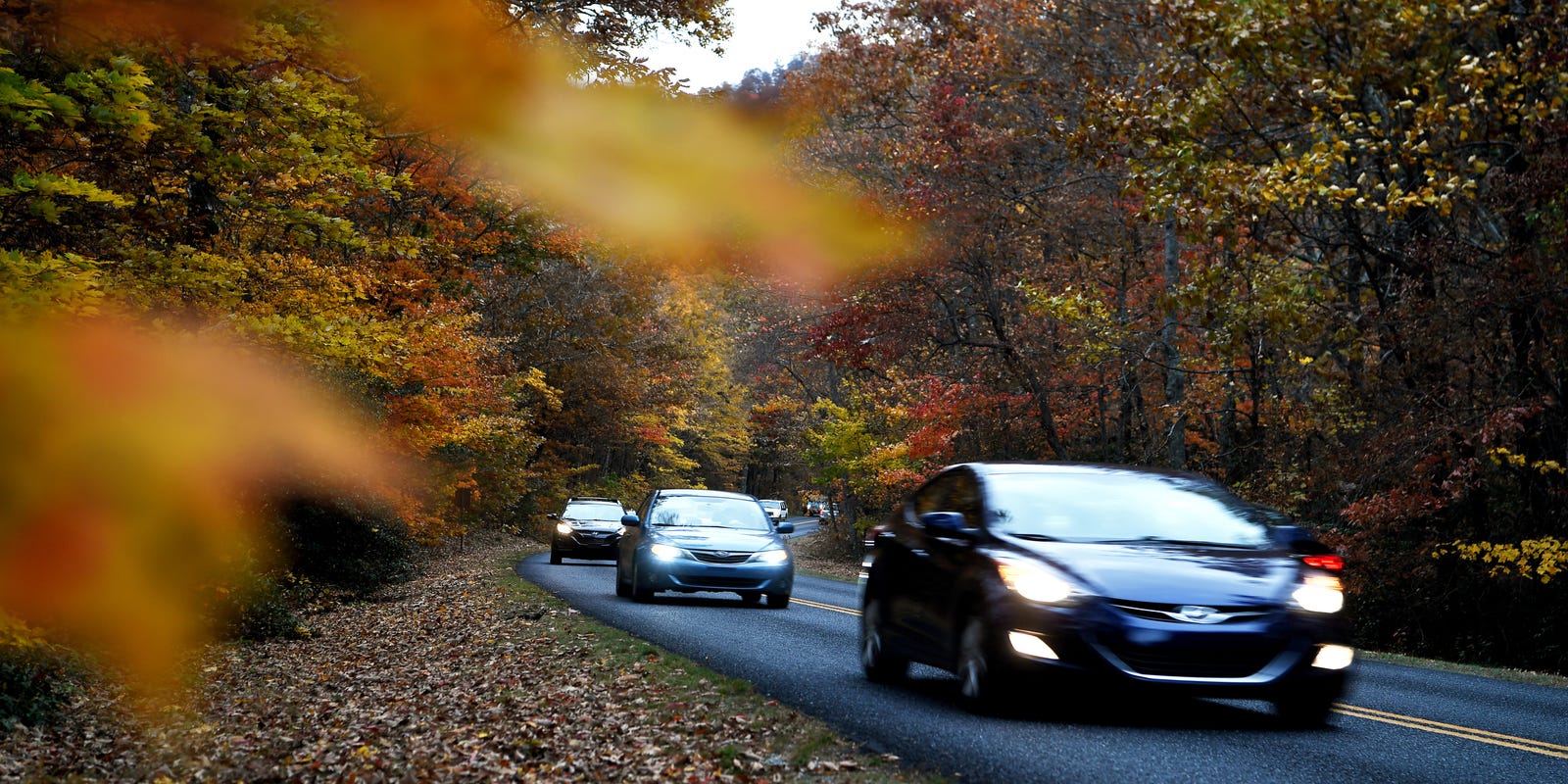 Peak Fall Foliage In Wnc Is Behind Schedule Due To Record Heat