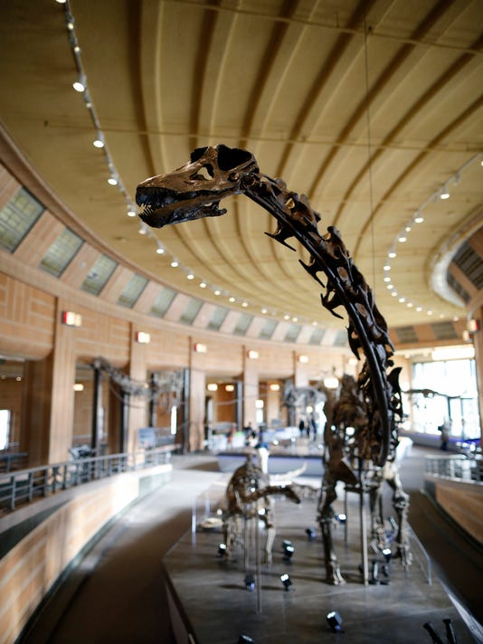 dinosaur hall natural history museum
