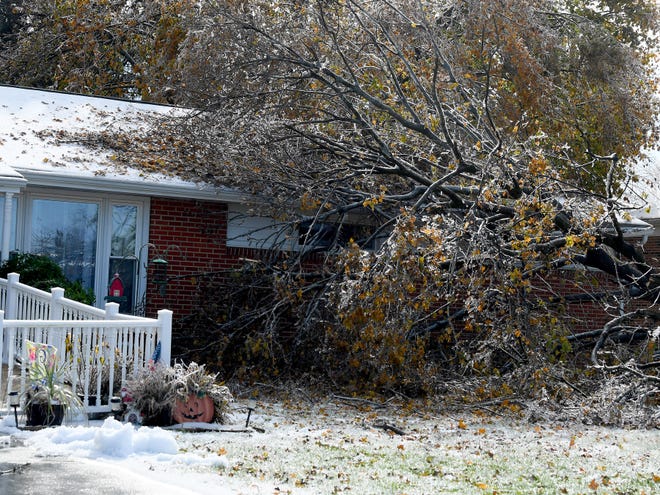 A fallen tree partially obscures the house it has fallen against in Fishersville in the wake of an ice storm Friday, Nov. 16, 2018. 