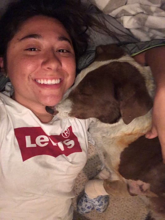 Paradise Dog Survives Camp Fire Butte Humane Society Stocks Pet Food