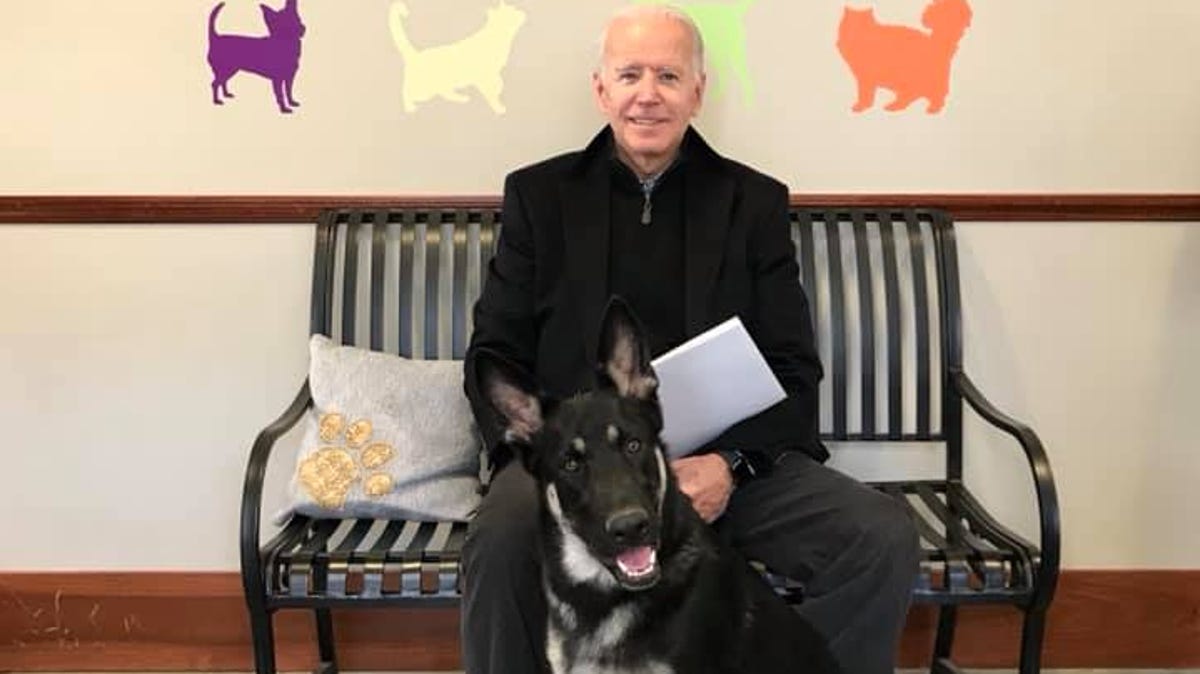Joe Biden Family Adopts Puppy Major From Delaware Humane Association