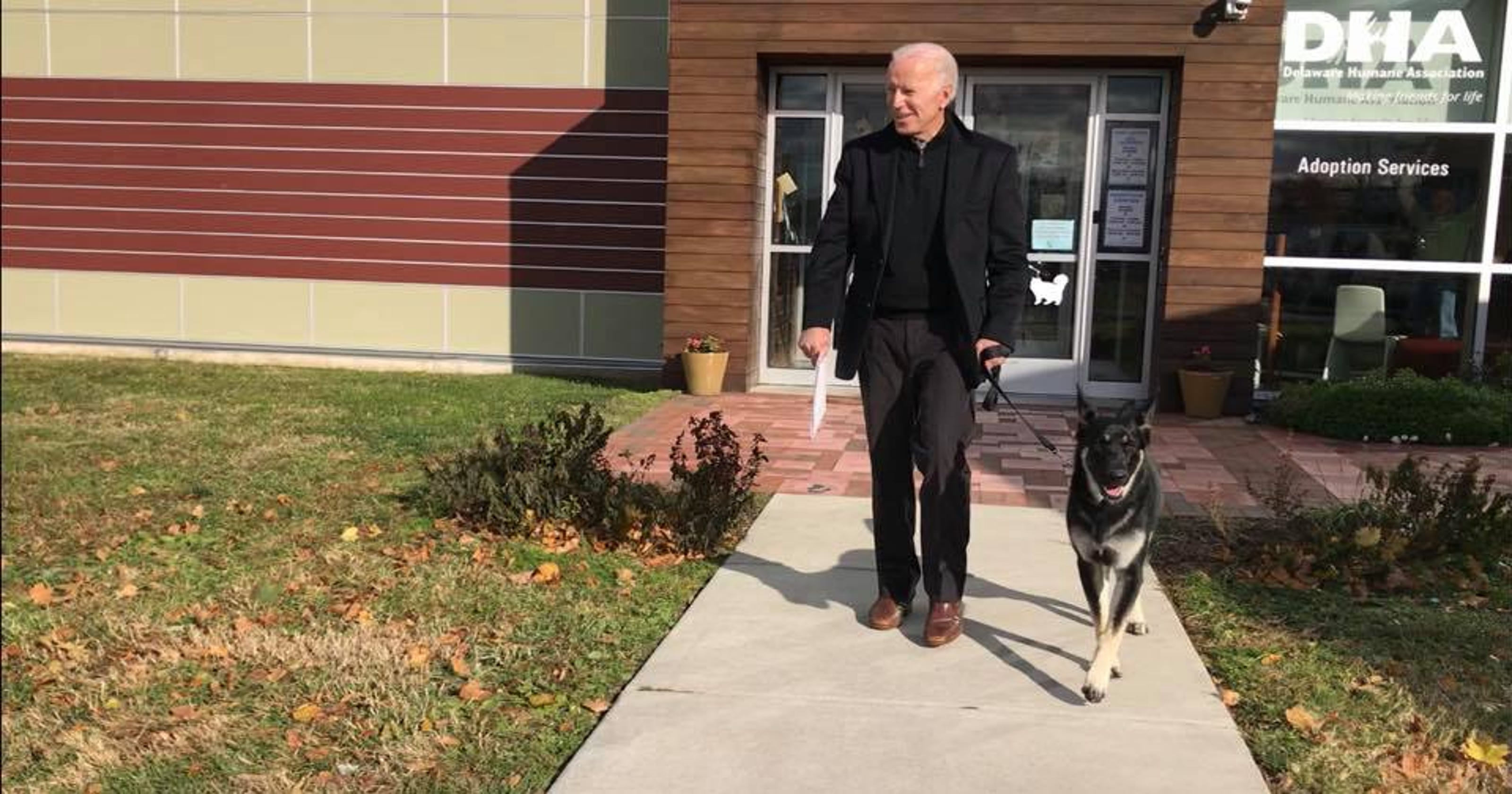 Former Vp Joe Biden Adopts A Dog From The Delaware Humane