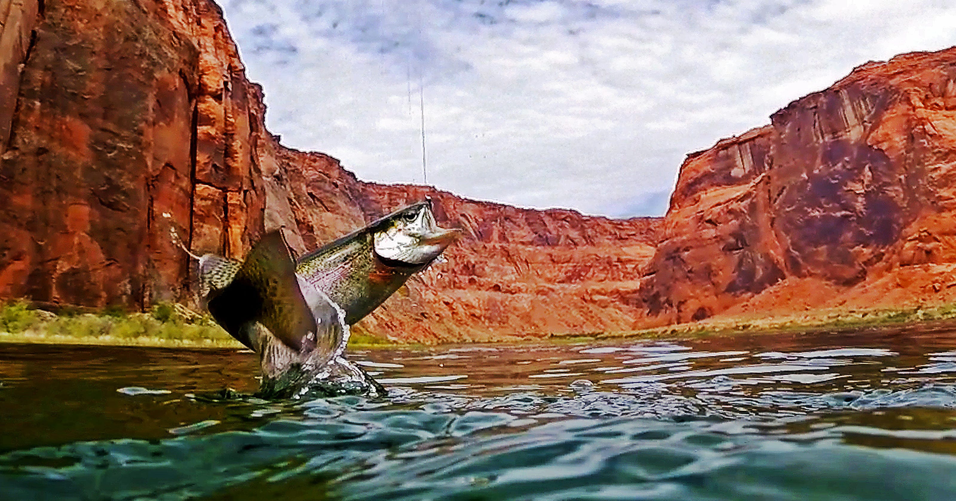 Why is Arizona facing a water crisis? Gaggle politics podcast explains