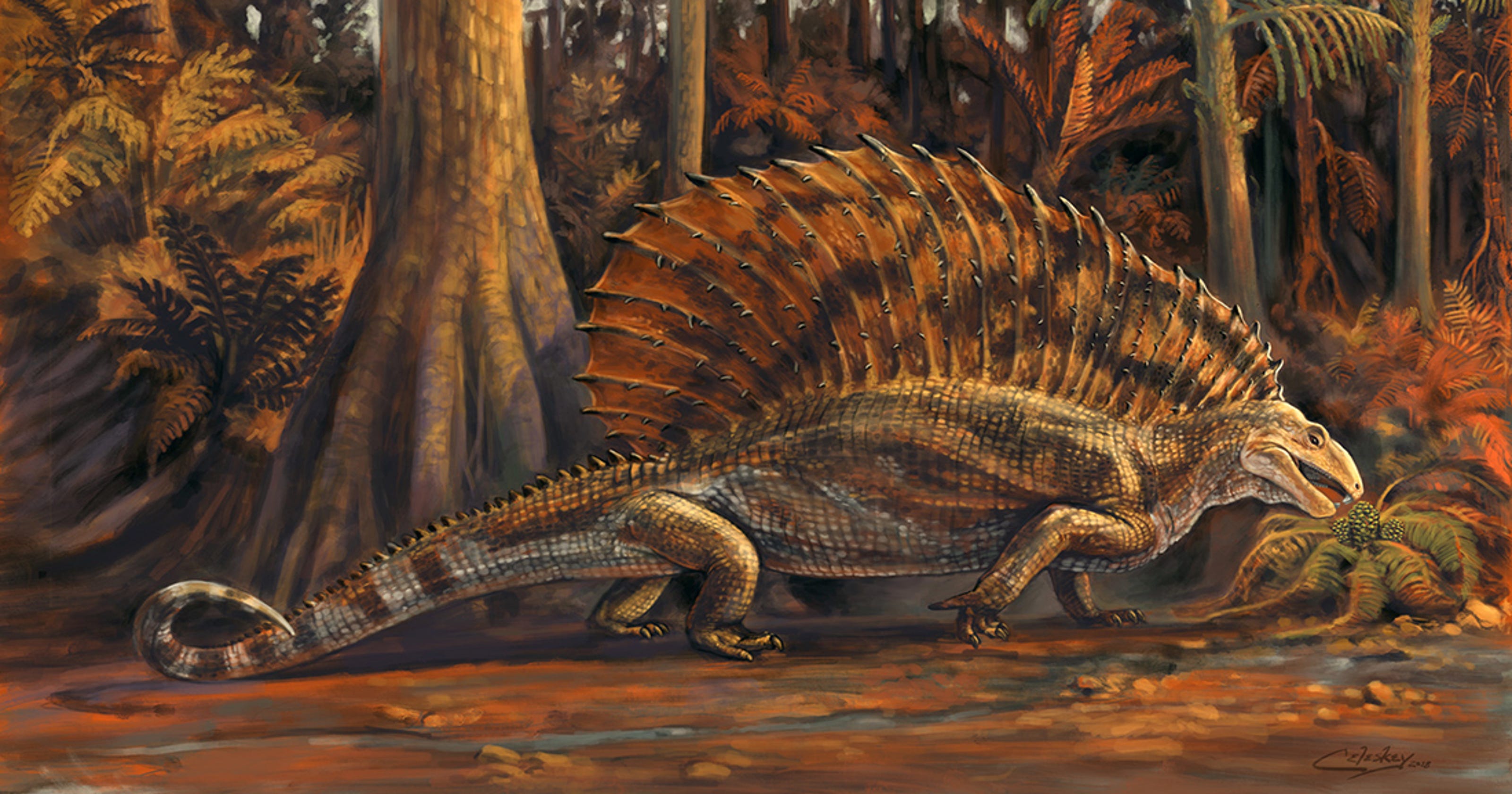 dinosaur fossils near me