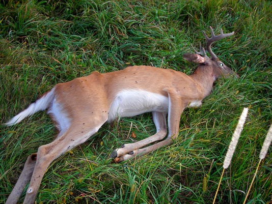 Cwd Dnr Photo