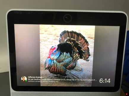 Our 2018 Turkey Tech of the year goes to the Facebook portal