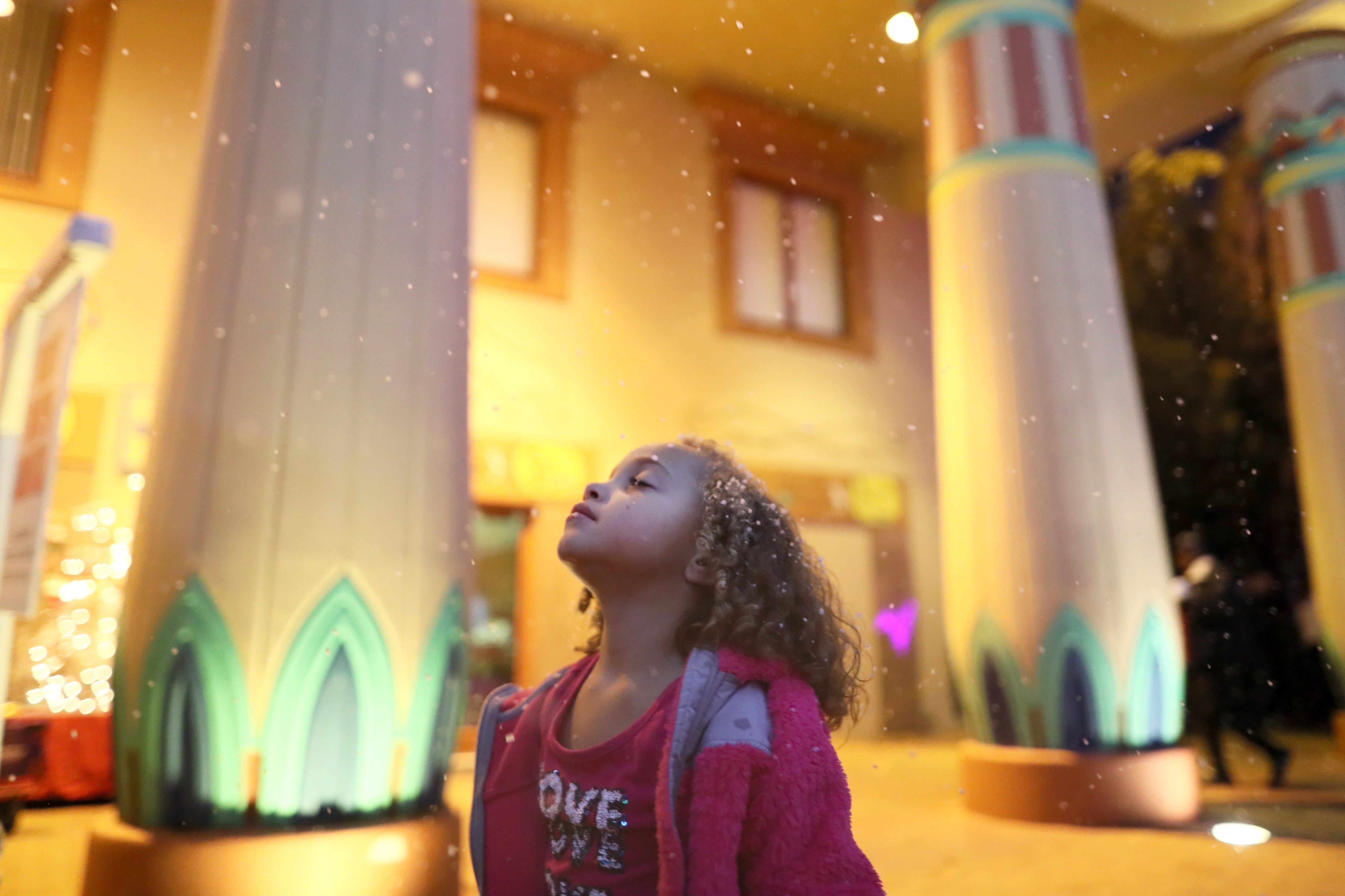 The best Christmas lights in Memphis, from Starry Nights to Zoo Lights