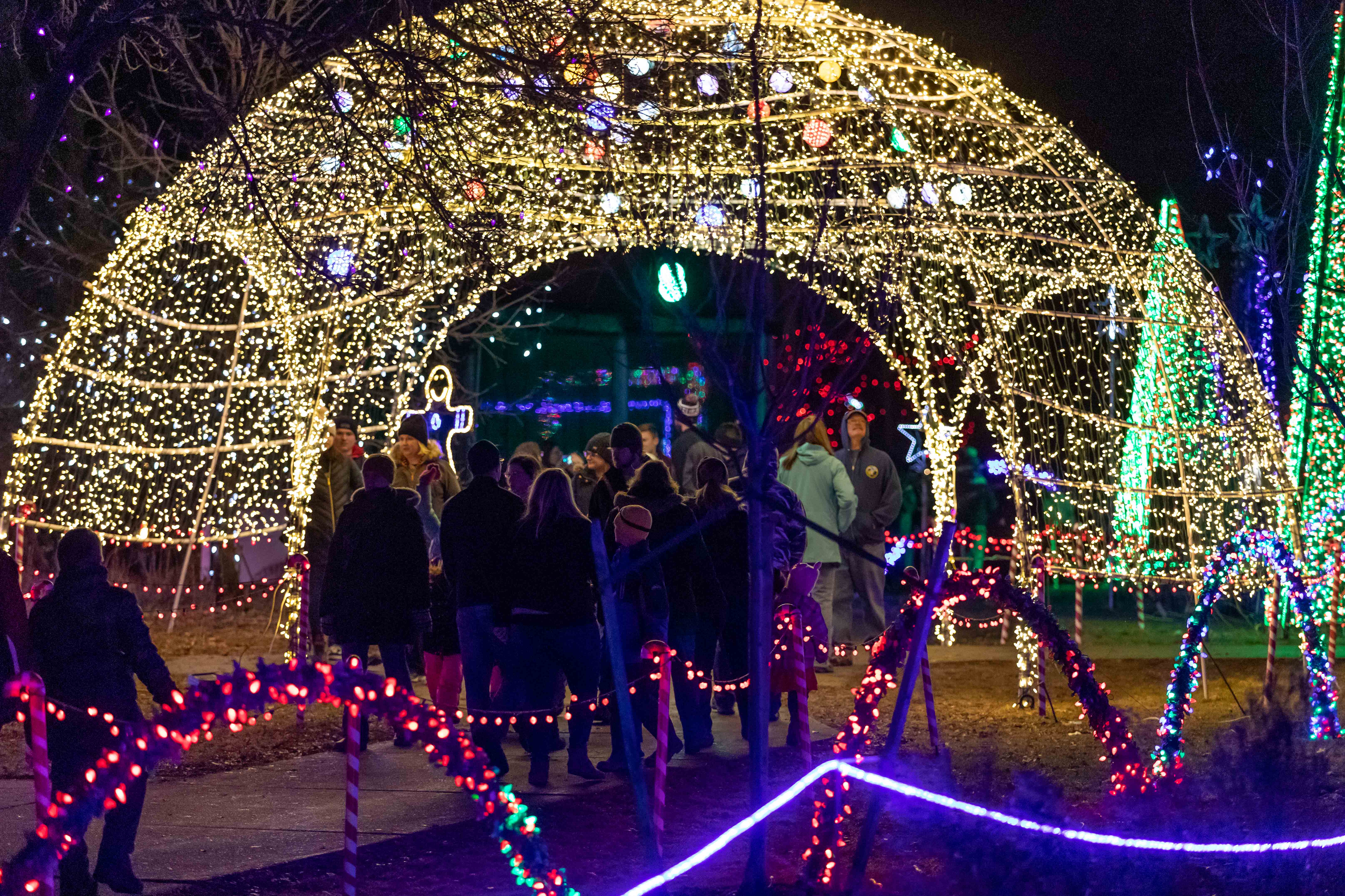 Escape to Ohio's Wildwood Wonderland: Your Family's Next Adventure Awaits!