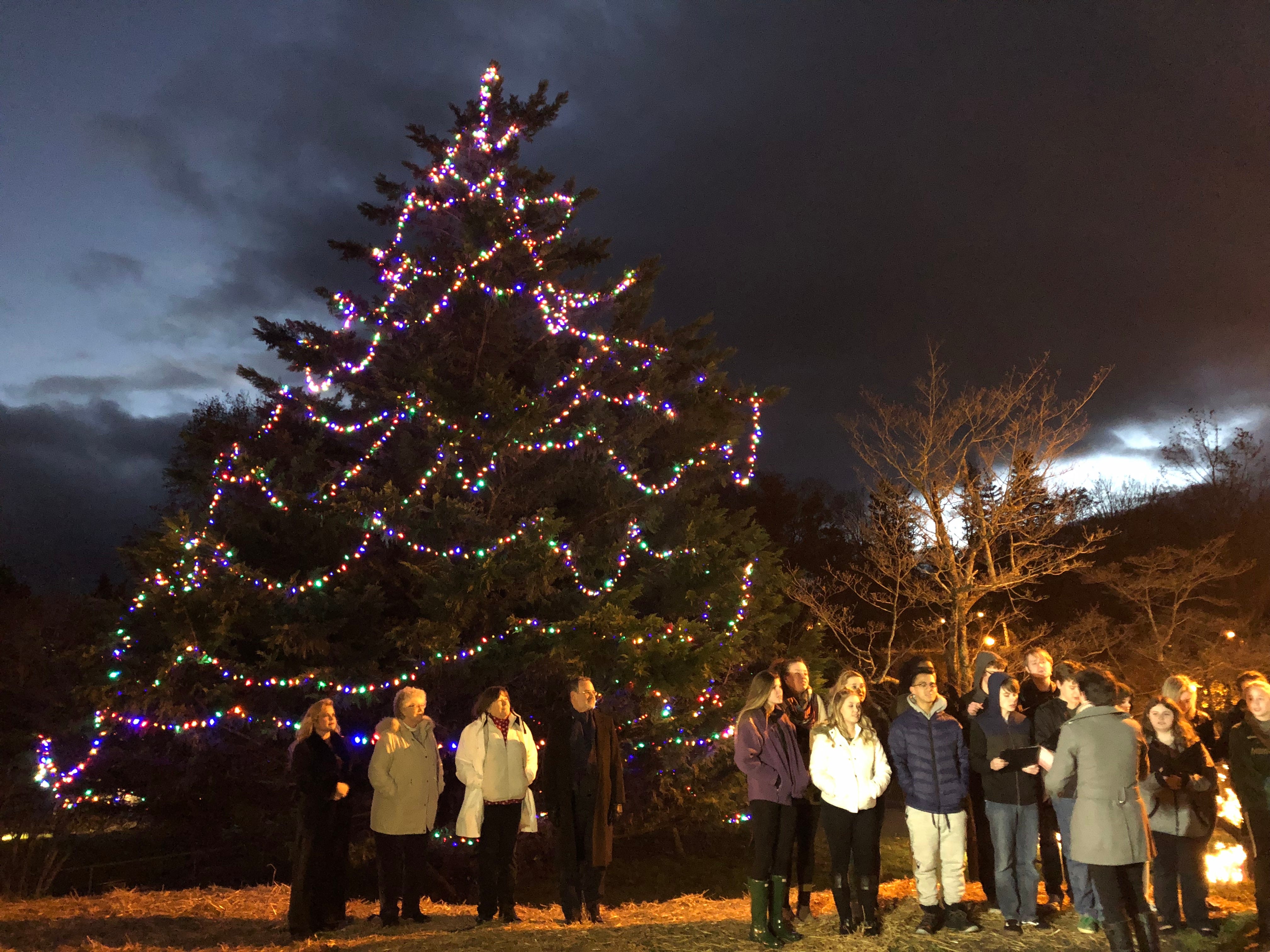 Staunton Christmas Tree lighting sparks new tradition at Gypsy Hill Park