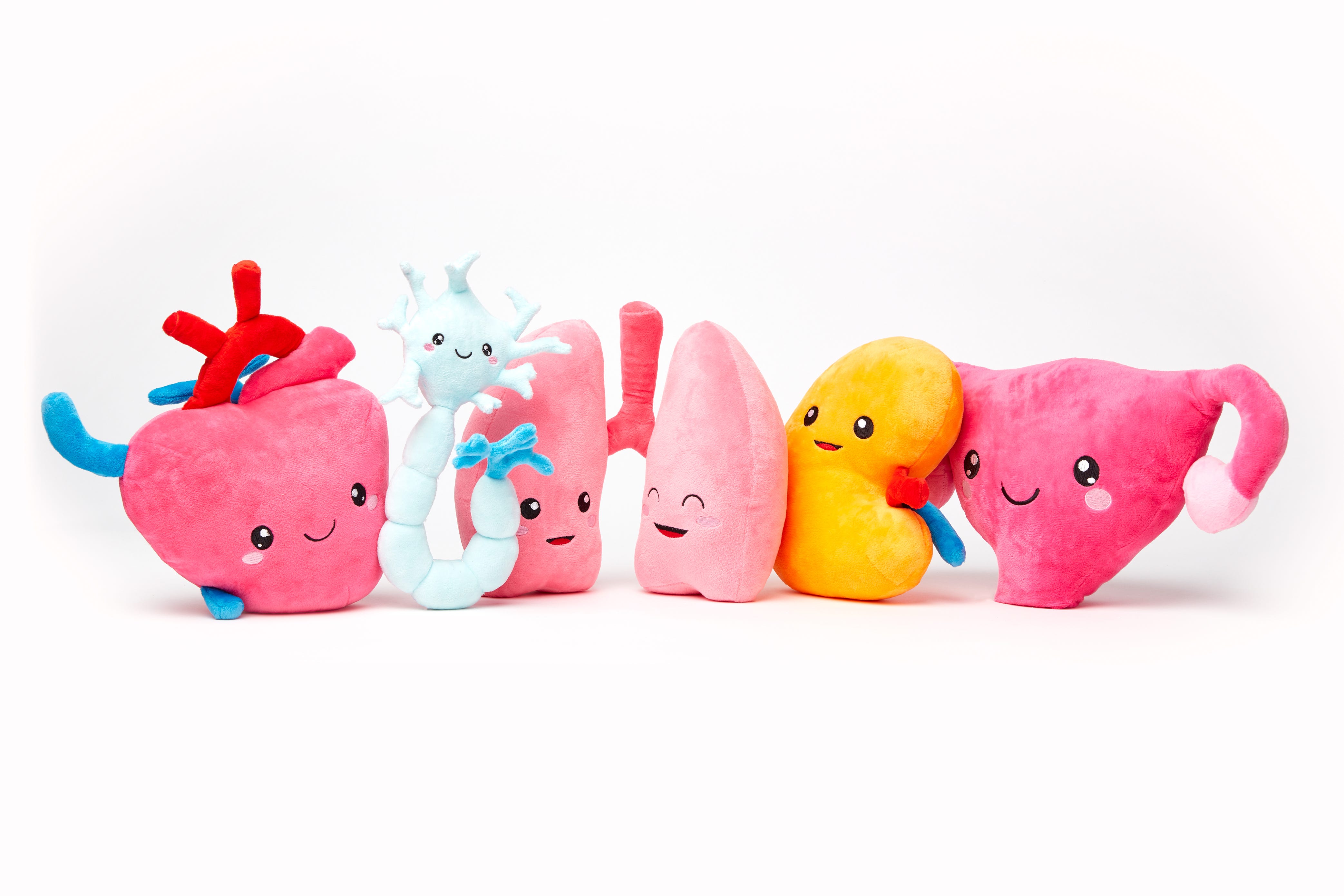 gallbladder stuffed animal