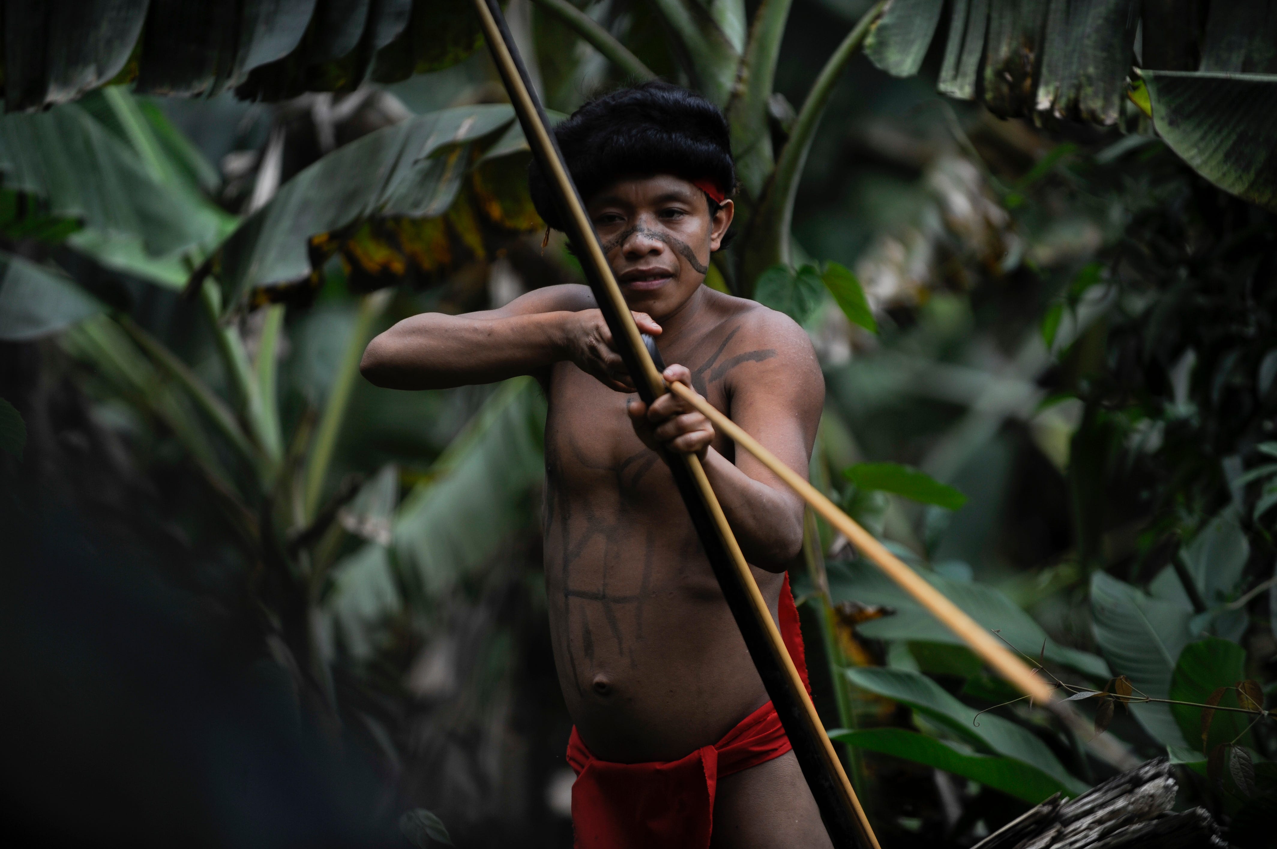 Спас в джунглях. Индейцы амазонки Яномами. Амазонка индейцы яномамо. Индейцы Бразилии яномамо.