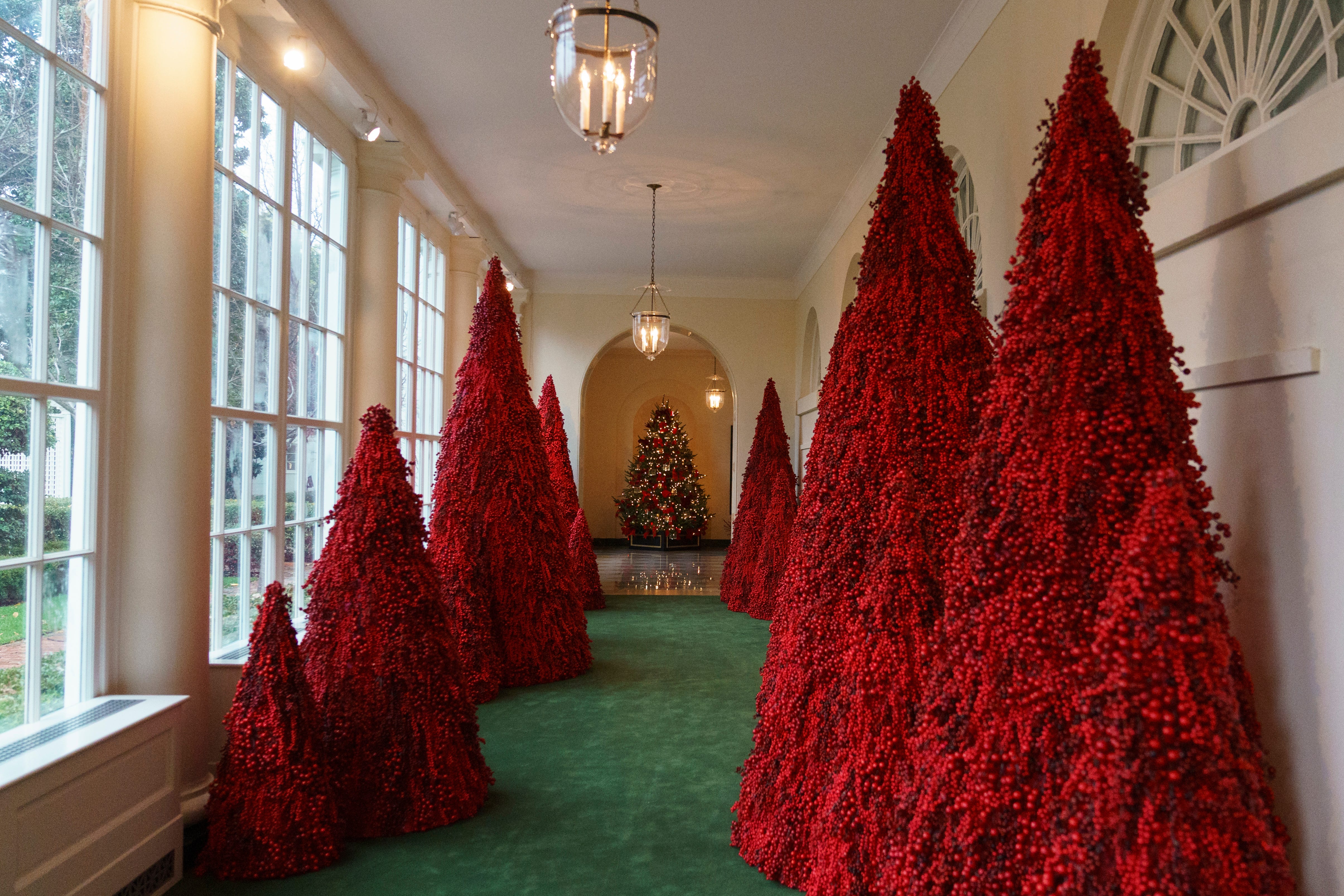 Красная елка купить. Дизайнерские елки. Красная елка. Новогодние елки от дизайнеров. Елка фото.