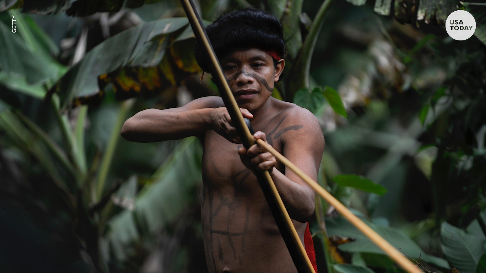 Uncontacted Tribe In Brazilian Jungle Uncontacted Tribe In Brazilian Jungle