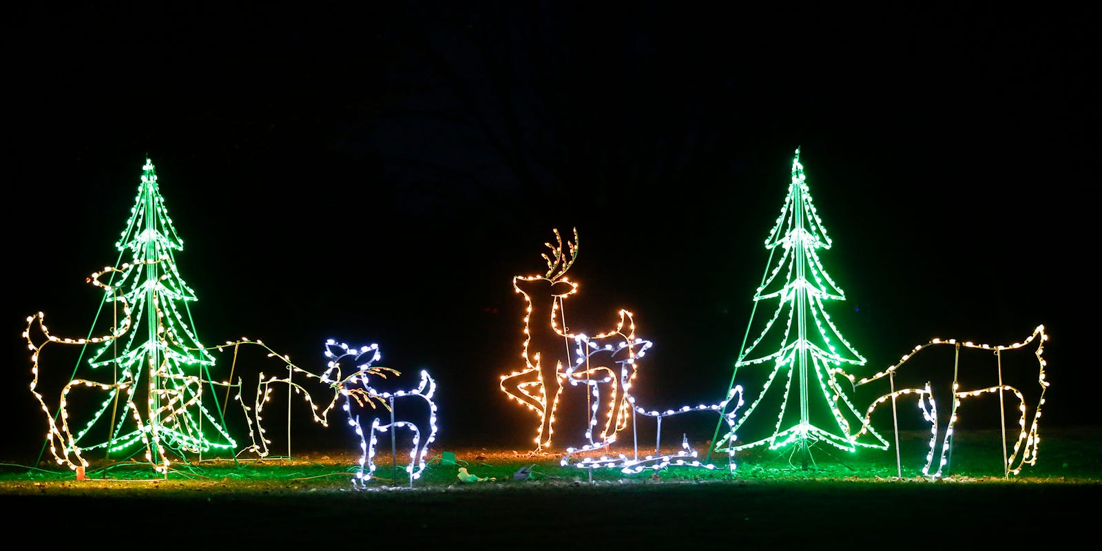 50 Beautiful Photos Of Design Decisions Grinches Steal Christmas Lights In Georgia Wtsenates Info