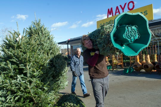 Where Should You Recycle Your Live Christmas Tree In Knoxville