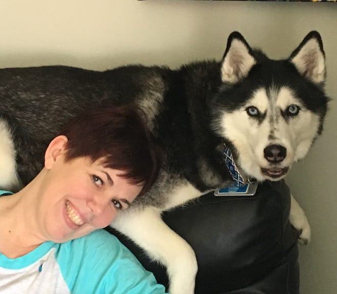 Stephanie Herfel relaxes with her Siberian husky, Sierra. The dog's nose detected a scent in Herfel's abdomen that was diagnosed to be ovarian cancer. Sierra acted strangely on two subsequent occasions, and both turned out to be reccurrences of cancer.