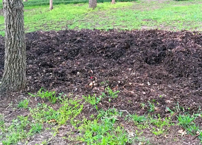 Fresh leaves used for ground cover can limit flower garden growth. Compost the leaves for a year or two. At that point they’ll be just fine to blend into the soil.