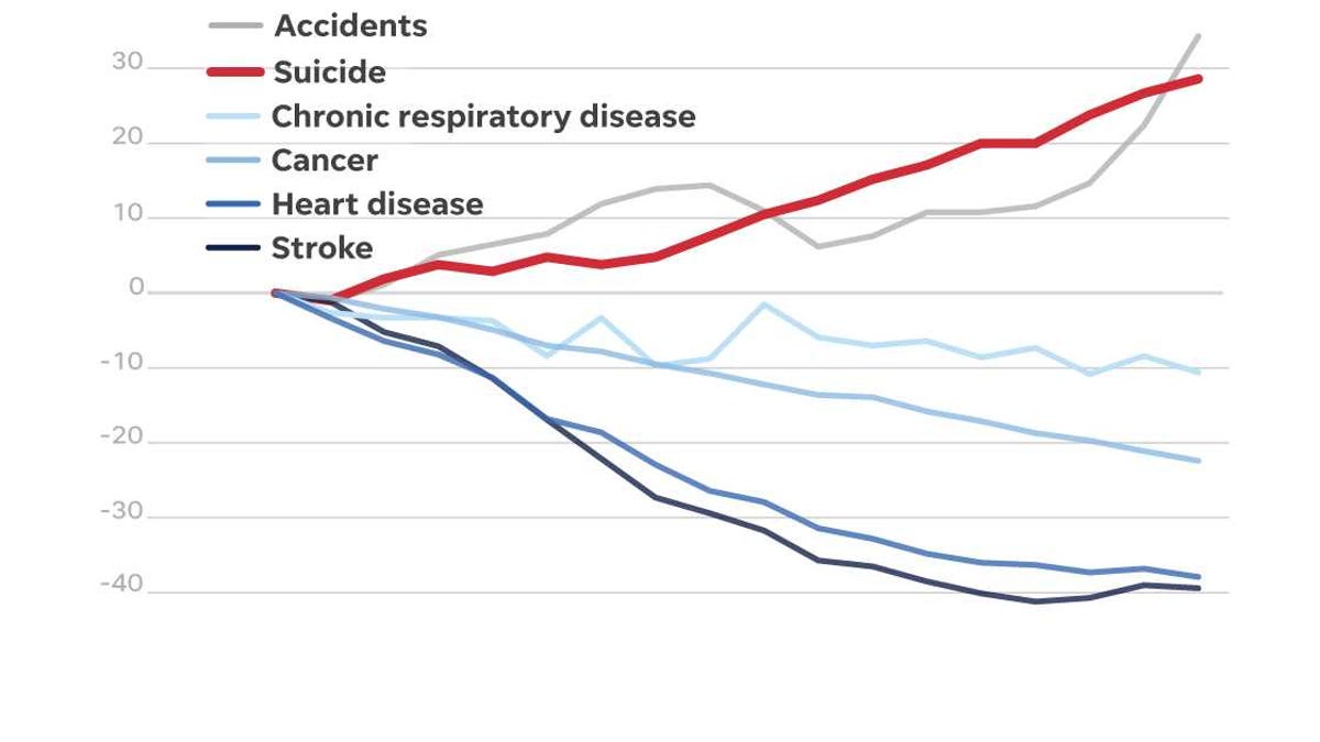 Over roughly the past two decades, most top causes of death have decreased, while suicide has increased along with accidents/injury, which includes drug overdoses.