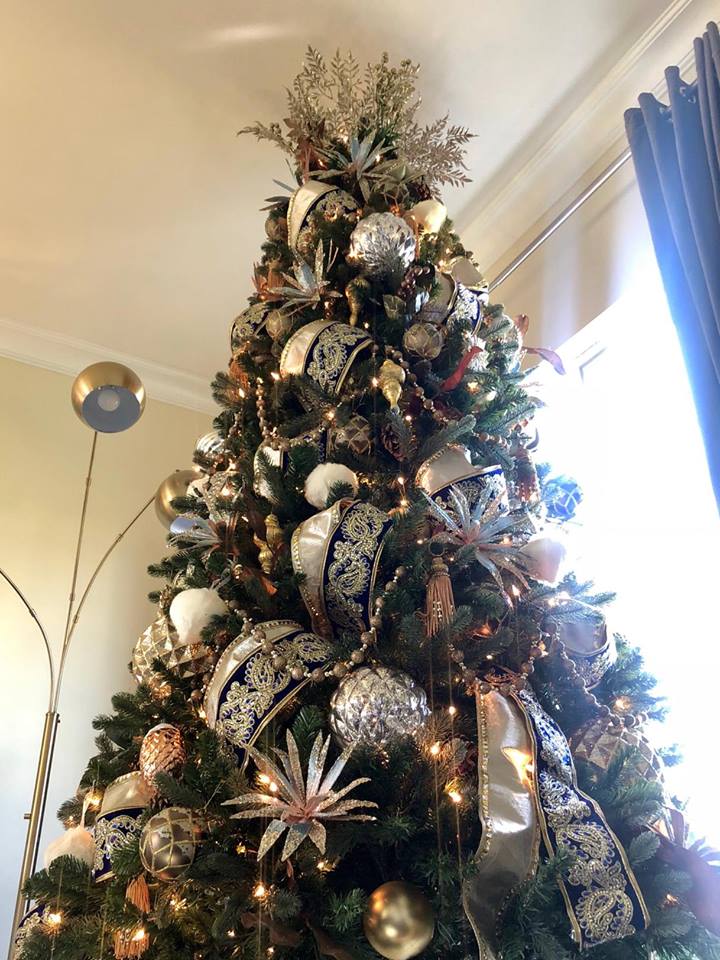 Home Decorators Christmas Trees - Artificial Vs Real Christmas Trees Tree Surgeons Portsmouth Hampshire Tree Services / Deciduous trees can also be strung with christmas lights, just as evergreen trees.