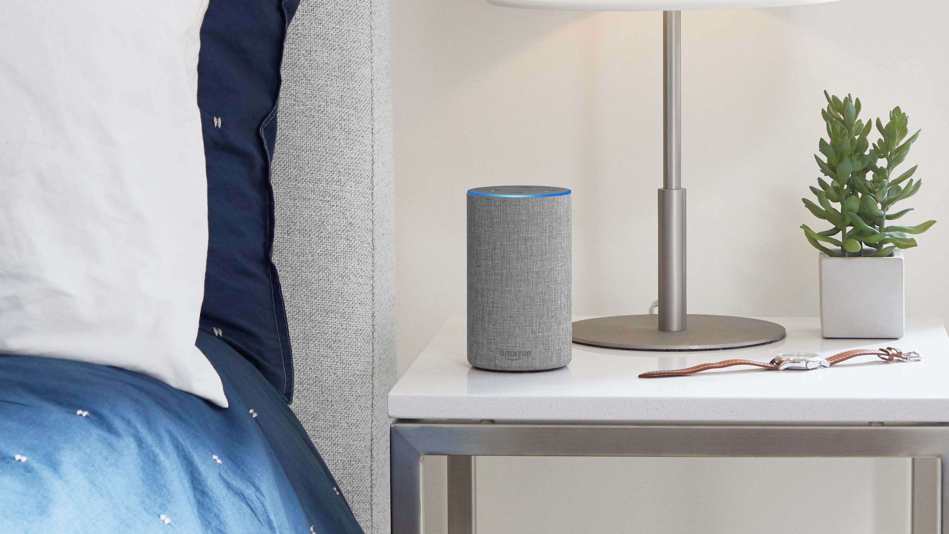 best amazon echo for music