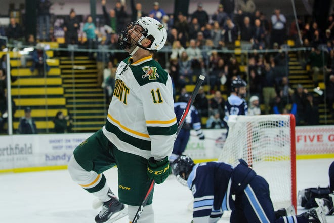 Vermont forward Conor O'Neil (11) celebrates a goal during the men's hockey game between the Mine Black Bears and the Vermont Catamounts at Gutterson Field House on Friday night November 30, 2018 in Burlington.