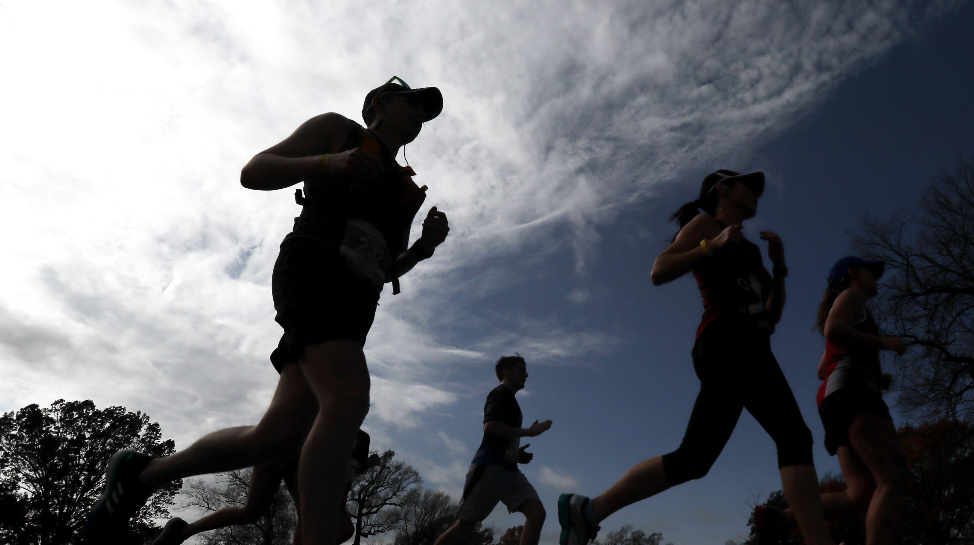 the commercial appeal