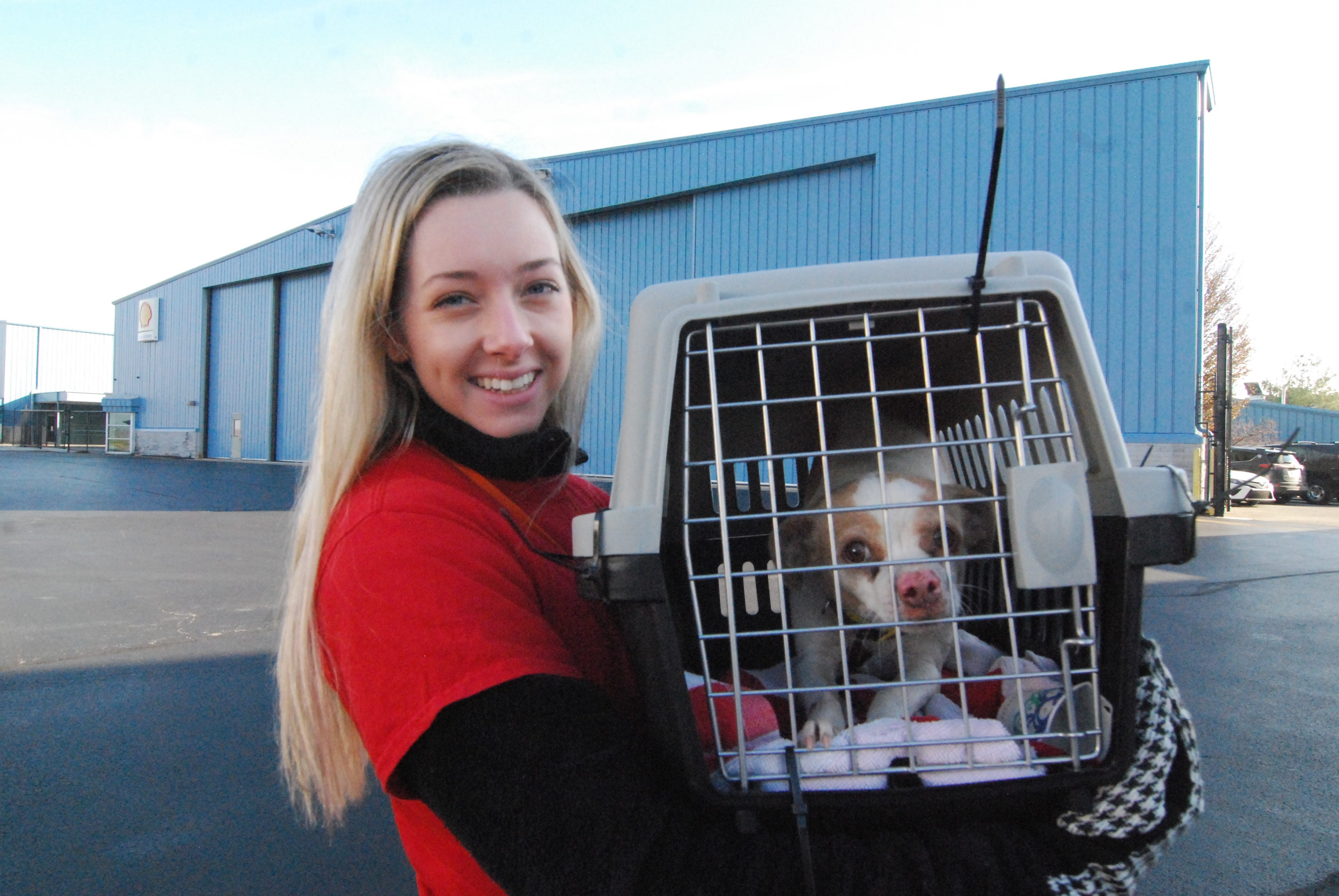 Brandywine Valley SPCA's Mega Adoption 1,200 cats, dogs available