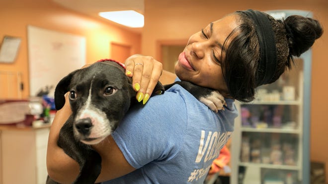 Program teaches life skills to homeless youth, shelter dogs