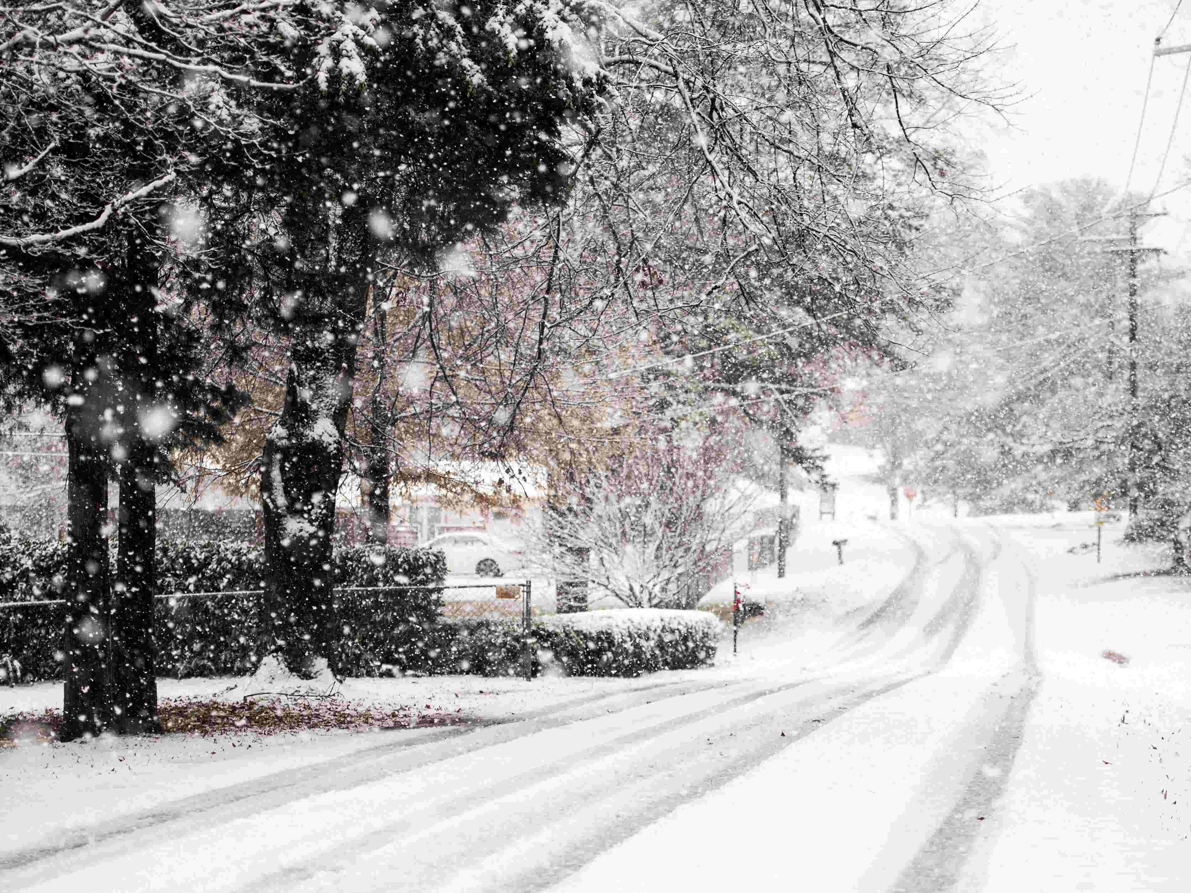 Will It Snow In Knoxville This Winter 2025 Alena Aurelia