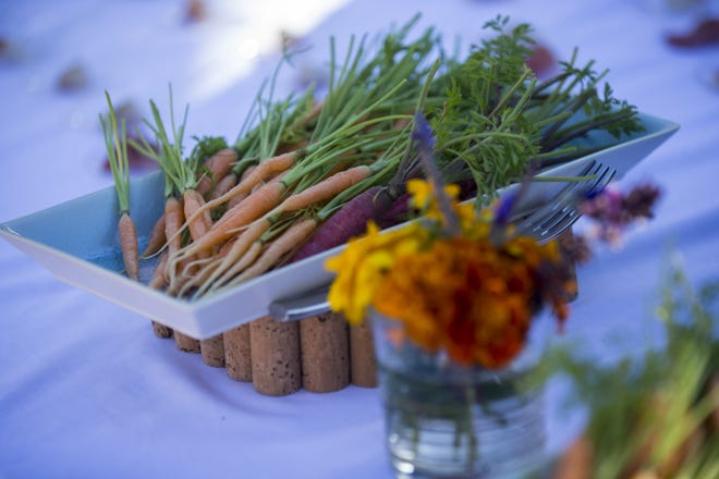 Fresh vegetables from the Castle Hot Springs garden.