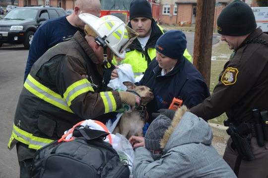 First responders treat Zeus, a 4-month old dog rescued from the fire in Springfield Monday, Dec. 10, 2018.