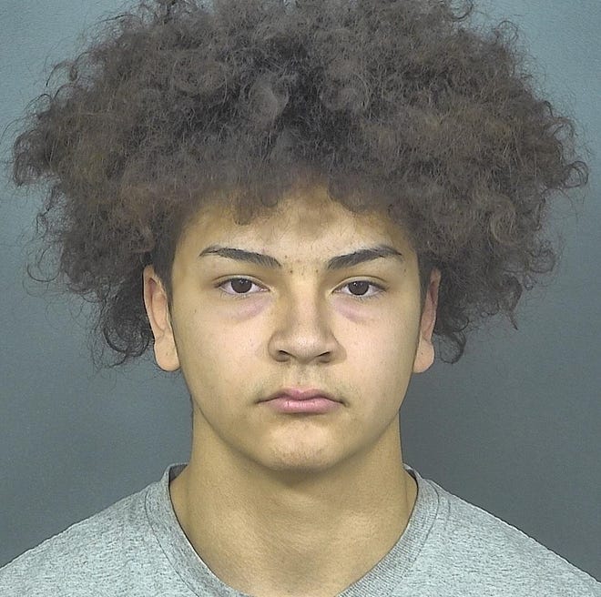 Aaron R. Trejo, 16, of Mishawaka, Indiana, was charged with murder and feticide Dec. 10, 2018, in connection with the death of Breana Rouhselang, 17, who was six months pregnant.