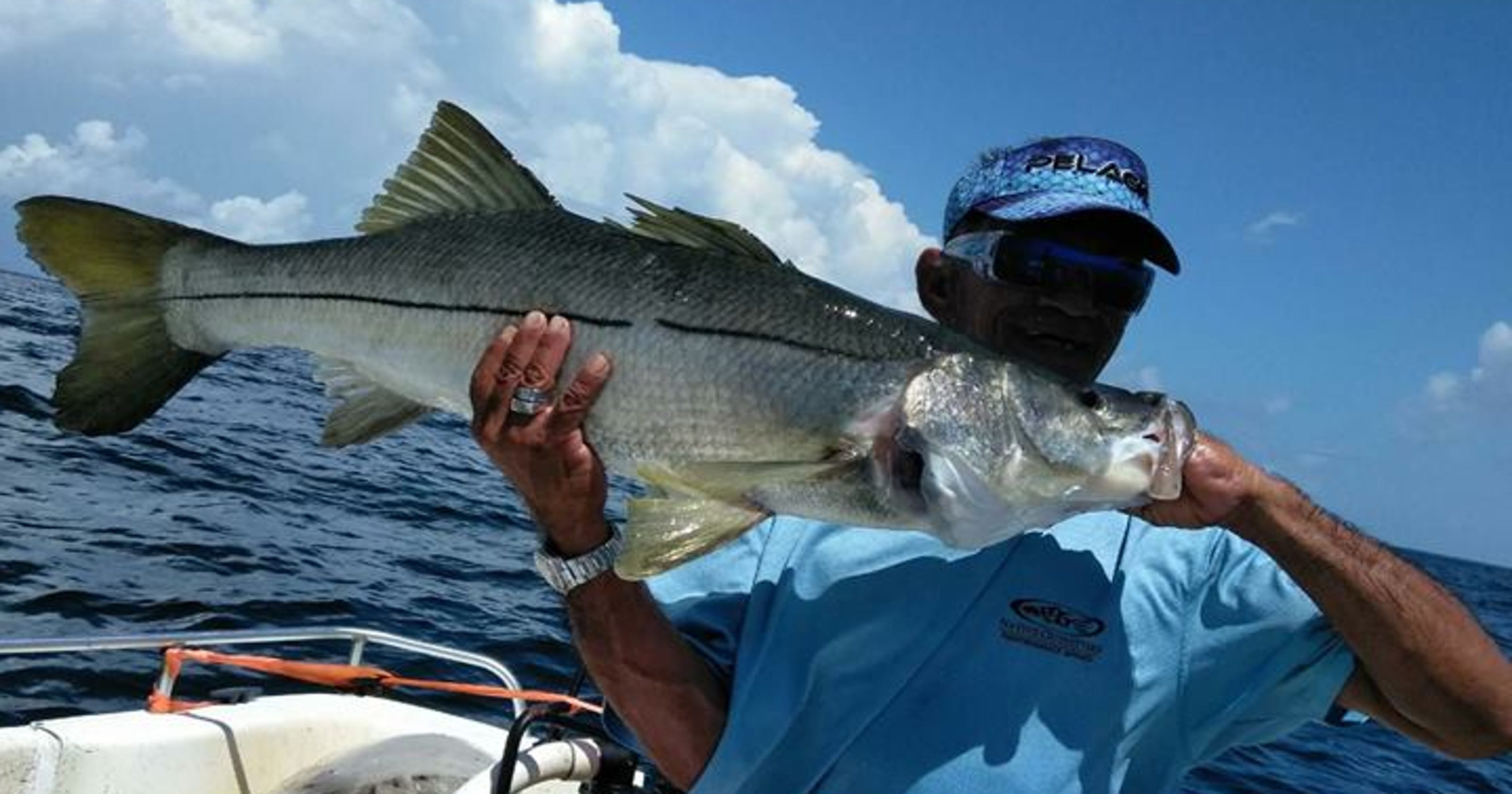 Snook season opens February 1 in Florida