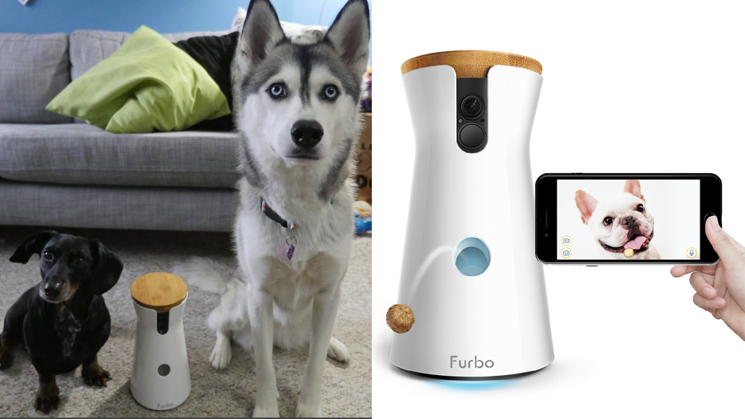 Best gifts for couples 2021 48 Best gifts for couples: Furbo Dog Camera