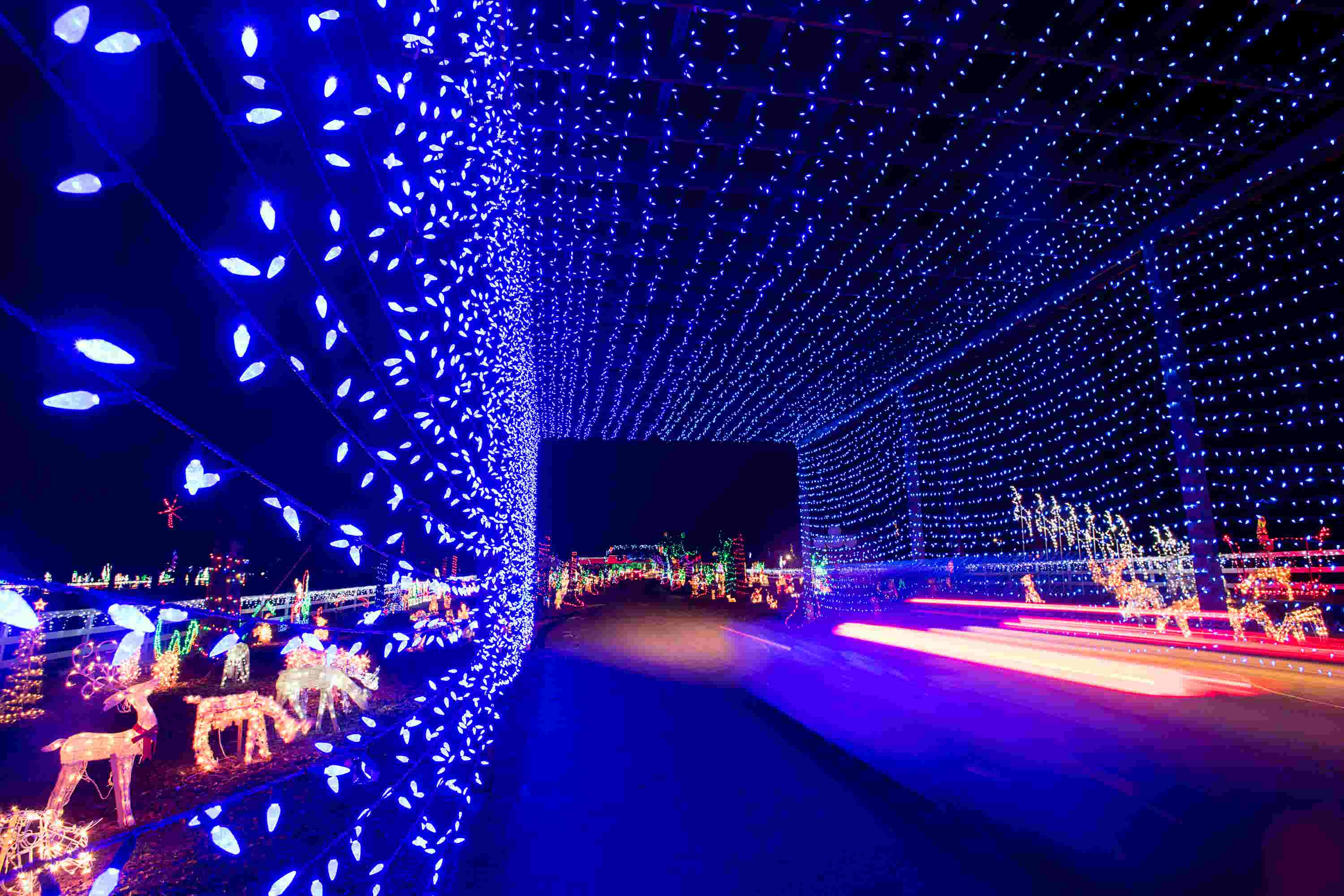 Tour the Milton Xmas light display that's getting national attention