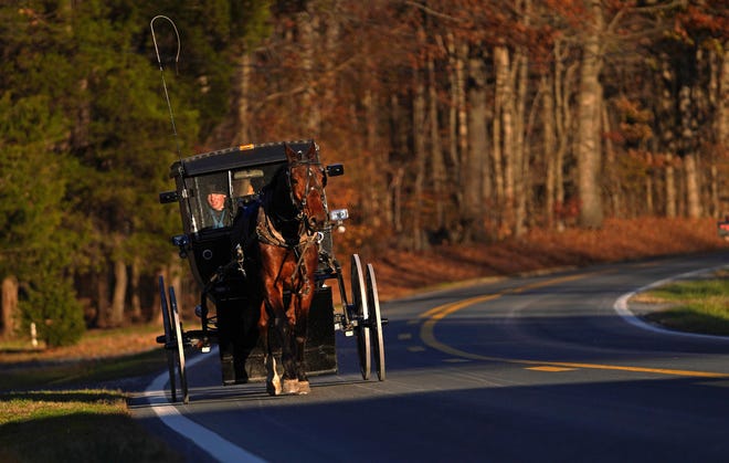 Can You Get a Dwi on a Horse