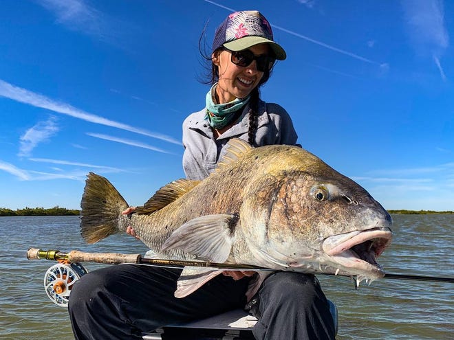 Erin Courtney of New Smyrna Beach caught and released this estimated 50-pound black drum last week while sight casting big fish in the shallows of the Mosquito Lagoon with an 8-weight fly rod. She was fishing with Capt. Billy Rotne of Tail Hunter Charters.
