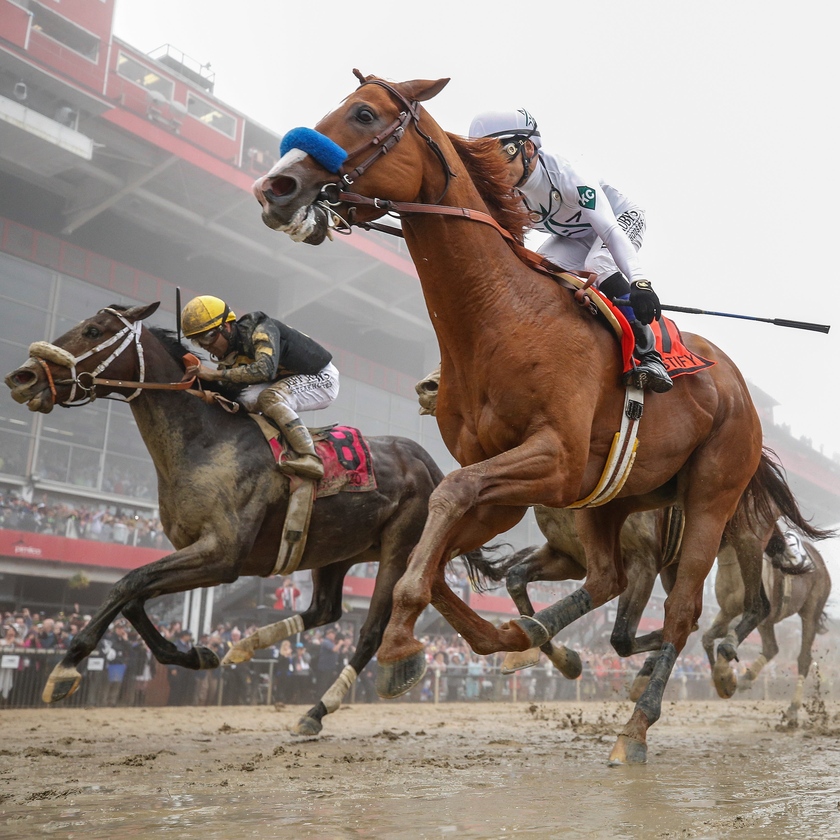 Bob Baffert Horses For Kentucky Derby 2025 Lois Sianna