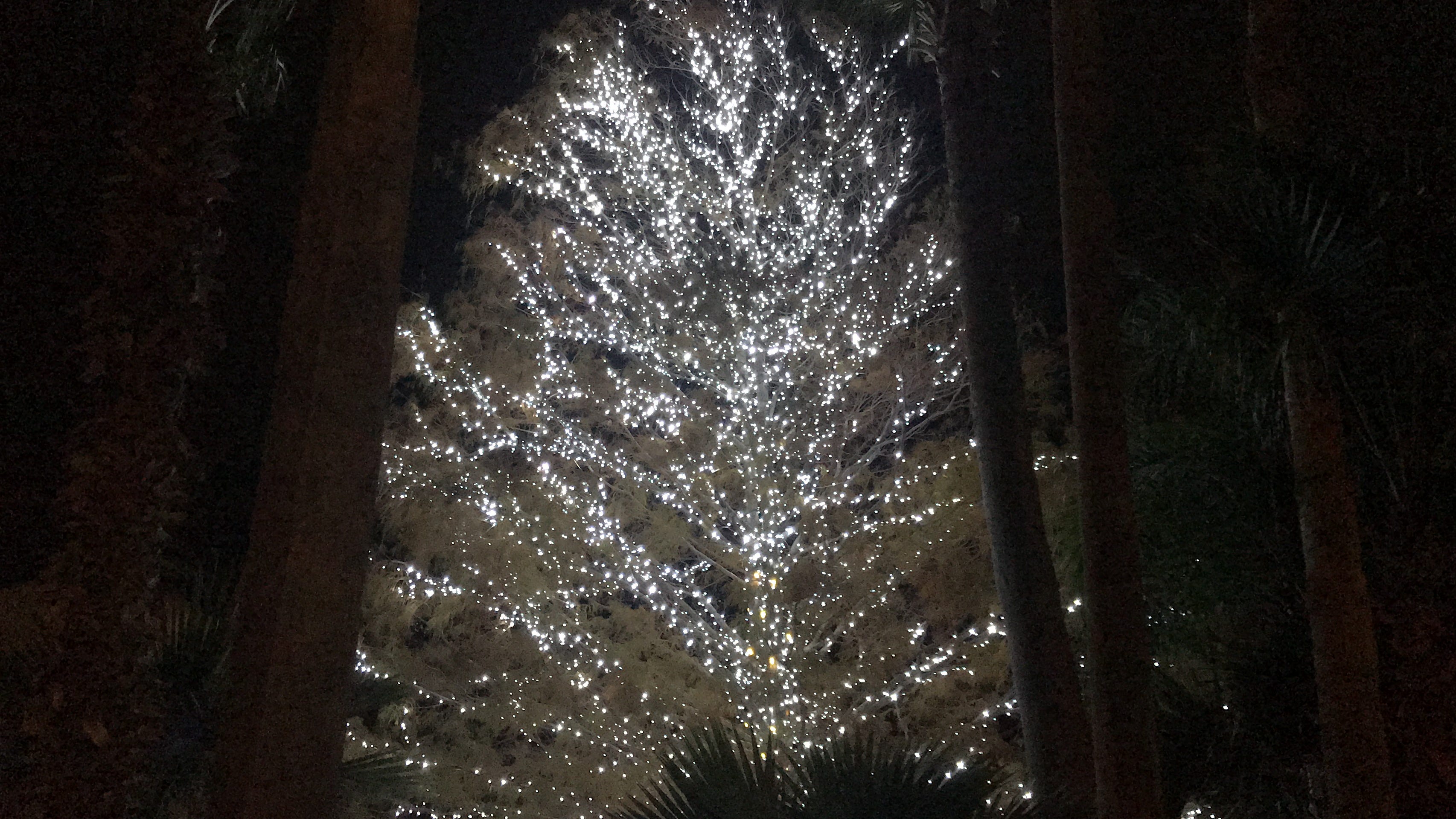 10 Christmas light displays in Corpus Christi, mapped out for you