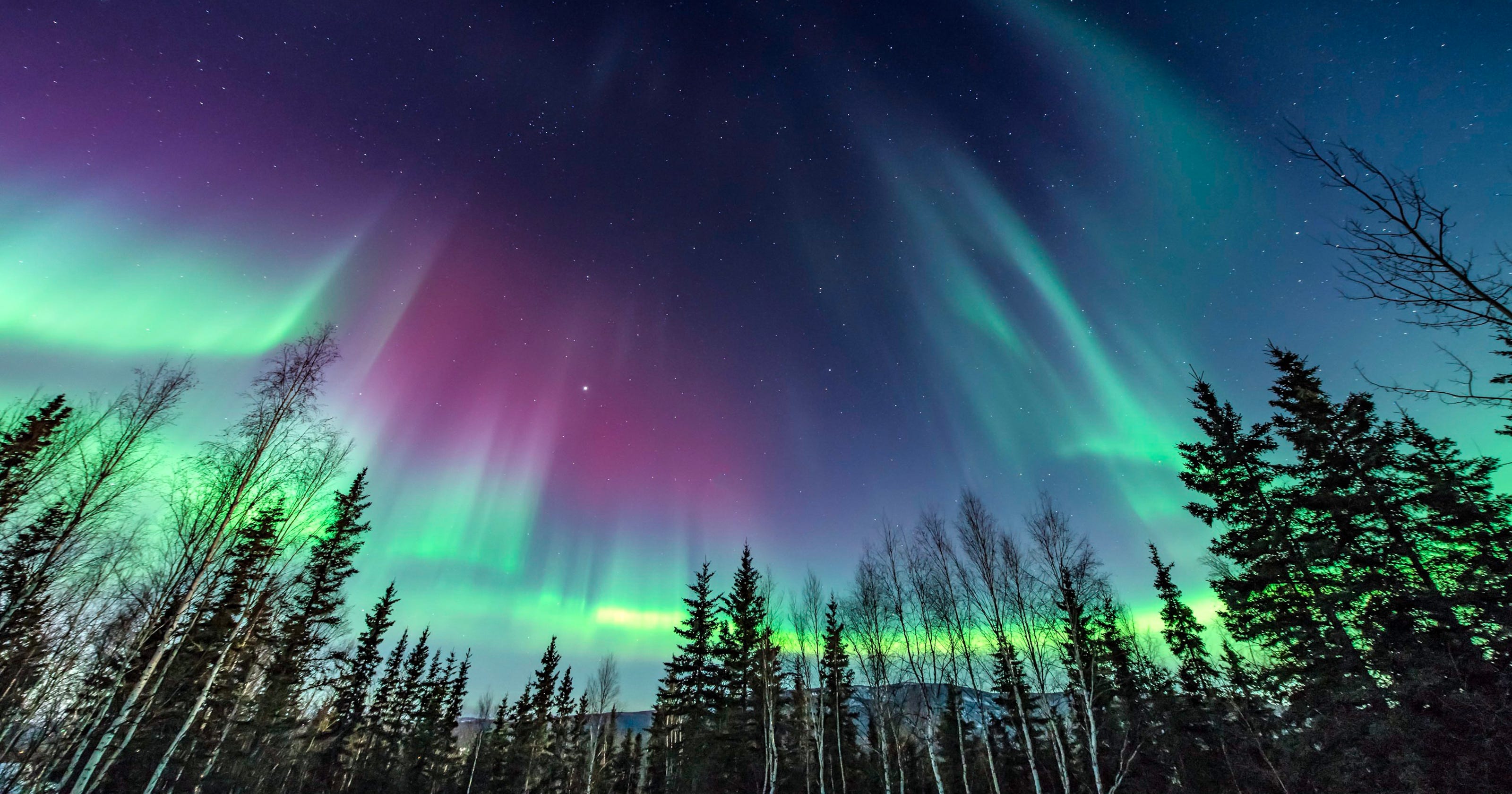 Northern Lights Indiana 2024 Patsy Bellanca