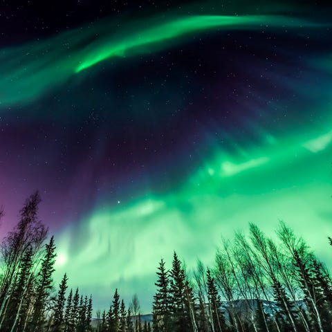 The northern lights in Alaska.