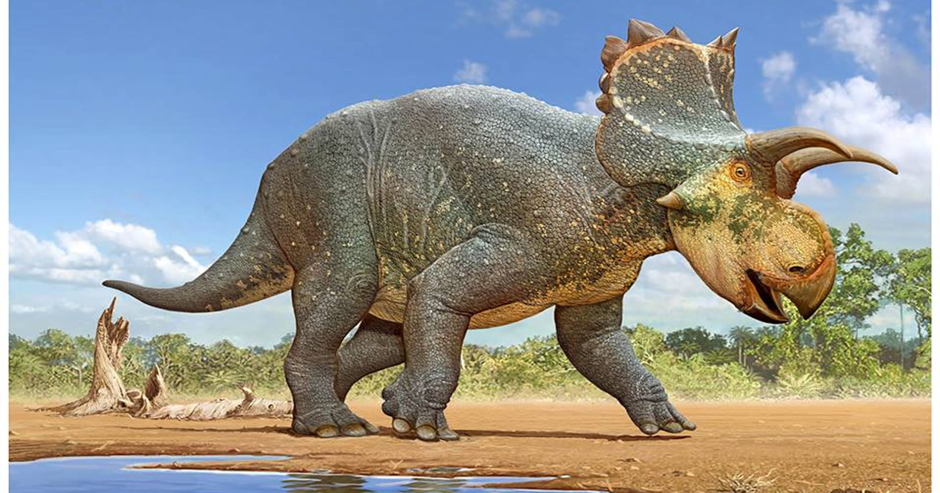 New dinosaur  species revealed by New Mexico scientists