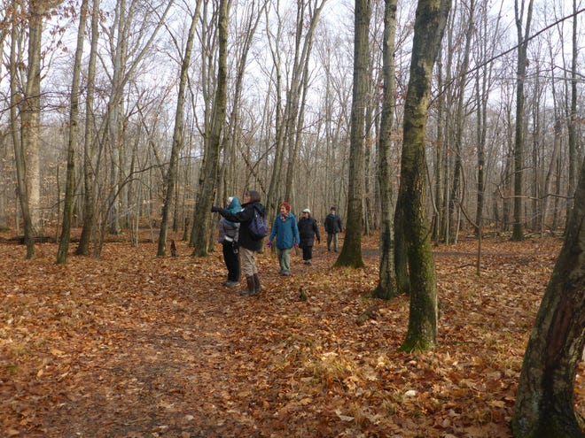 Friends of Princeton Nursery will offer a First Day Hike from noon to 2 p.m. on Jan. 1 looping around Mapleton Preserve from and to Delaware & Raritan Canal State Park Headquarters in the Kingston section of South Brunswick.