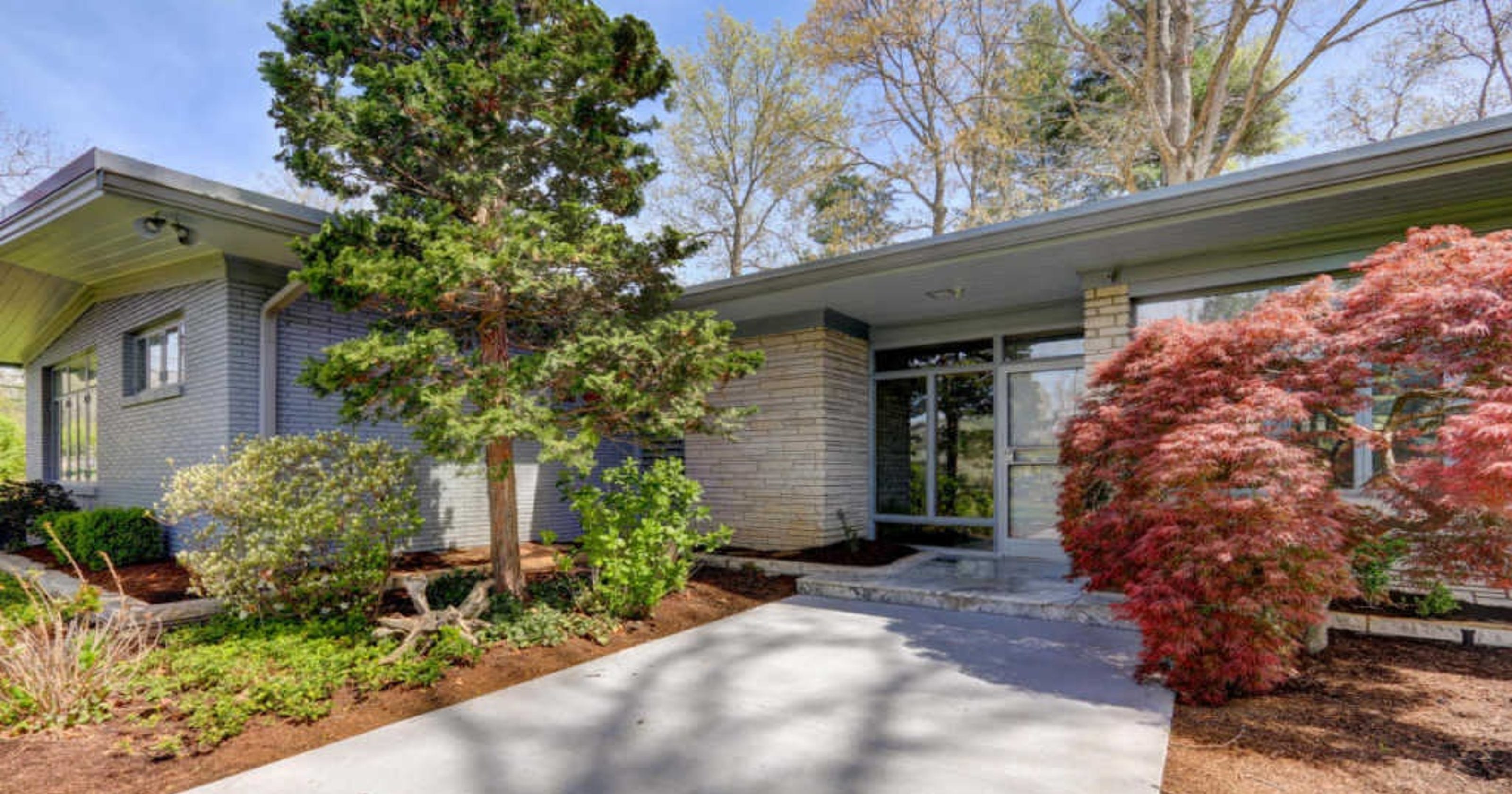 Knoxville Rose Busch Murder Unsolved Sequoyah Hills Home Demolished