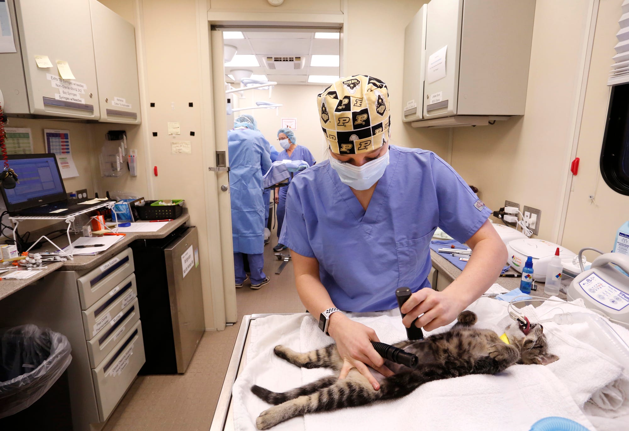 Purdue S Priority 4 Paws Celebrates 100k Miles Logged Across Indiana