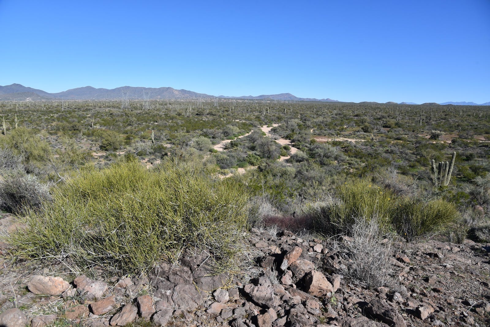 Scottsdale hike Basalt Ridge Overlook, McDowell Sonoran Preserve